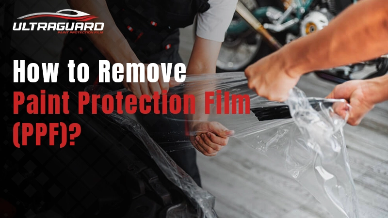 How to Remove PPF film - Step-by-Step Guide