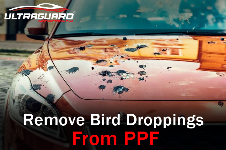 How to safely clean bugs, tar, and bird droppings from PPF
